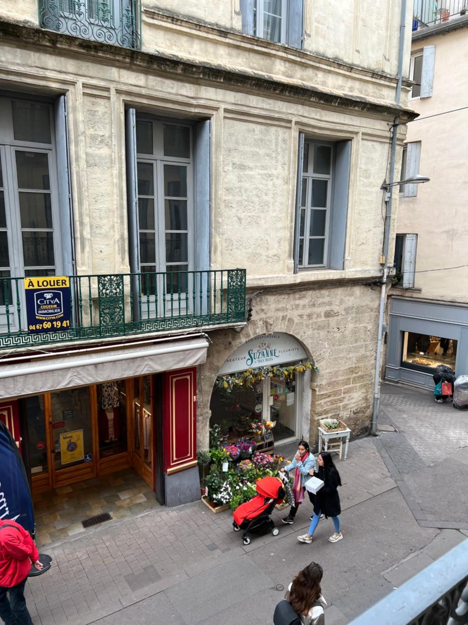 Centre Historique Rue Saint Guilhem Daire Montpellier Dış mekan fotoğraf